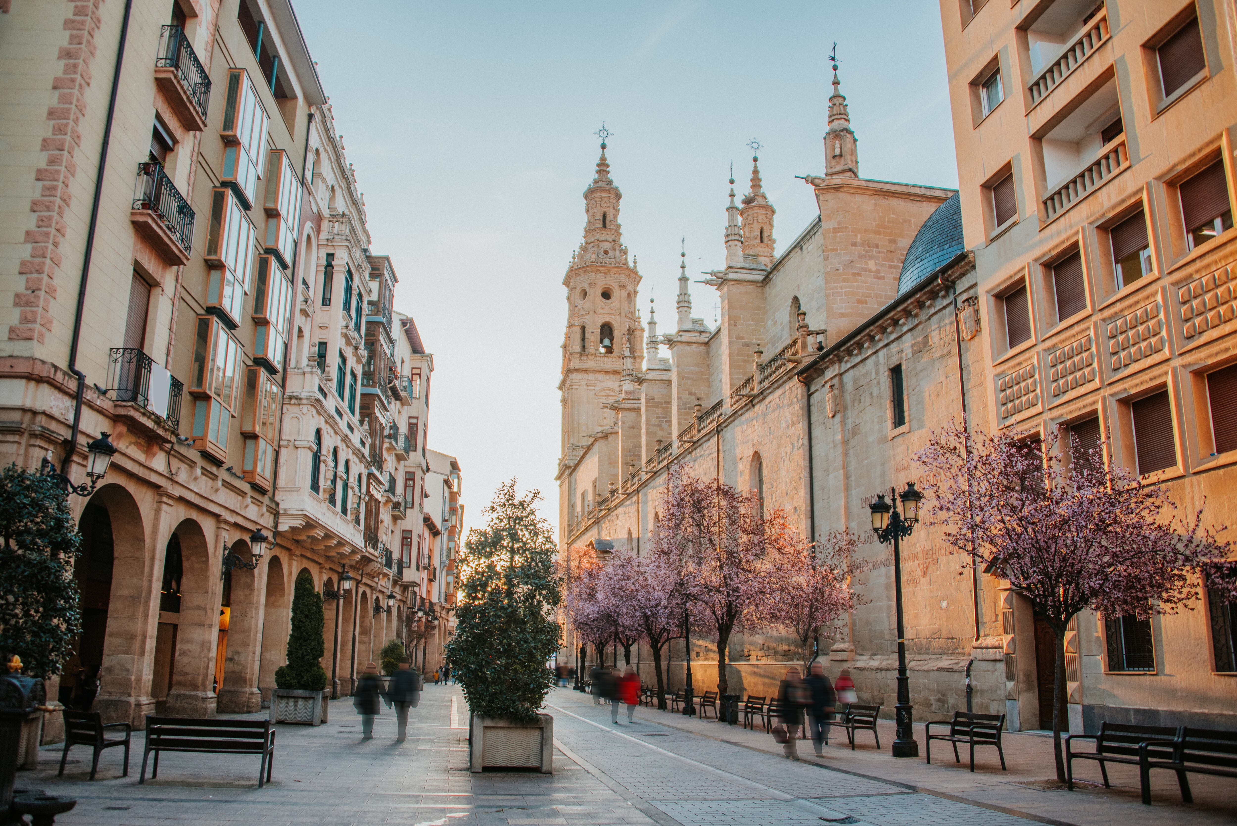 Calle Portales de Logroño con la concatedral de La Redonda al fondo