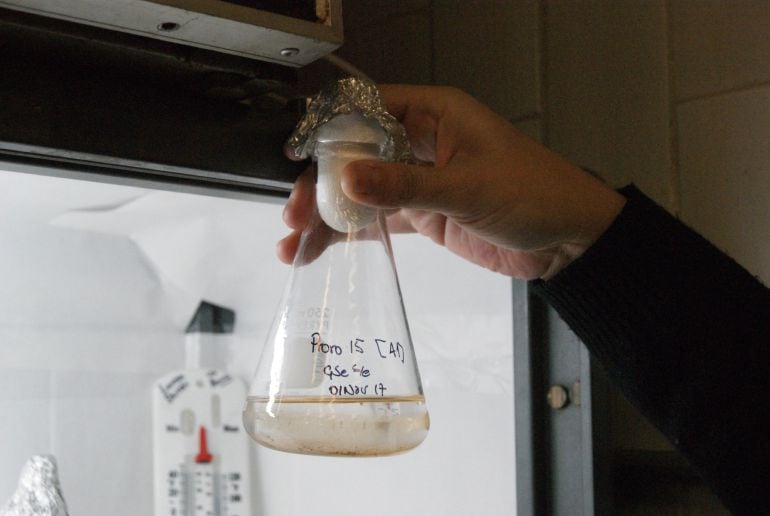 Un investigador trabaja en su laboratorio científico. 