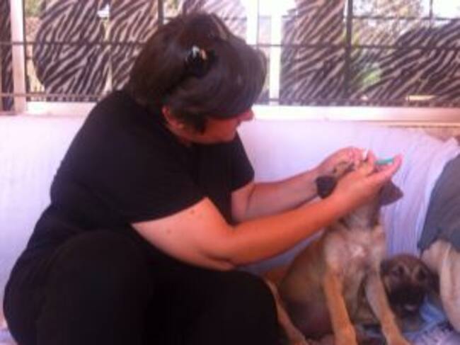 Limpiando restos de alquitrán de sus ojos