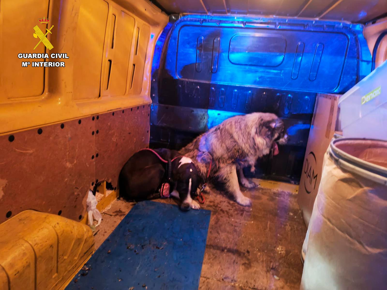 Guardia Civil y Bomberos del CEIS Rioja rescatan a tres perros caídos a un barranco en la N-232