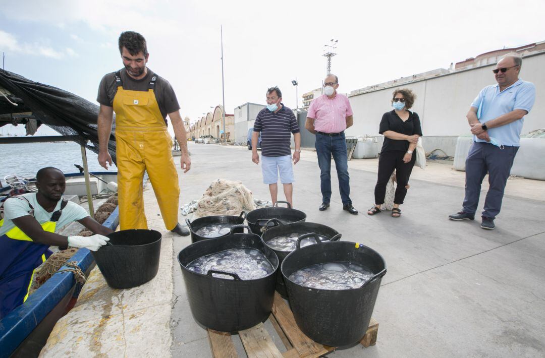 Los pescadores del Grau capturan medusas 