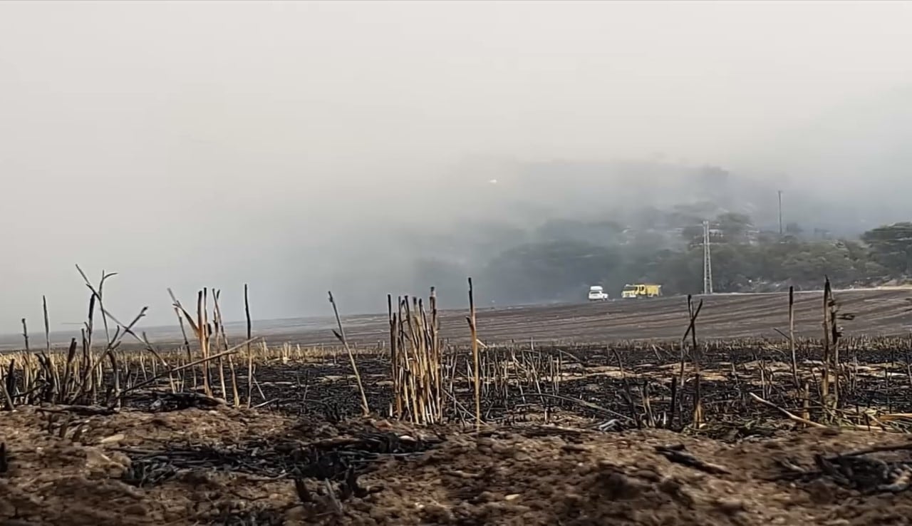 Incendio en Almoguera en 2017 archivo SER GU