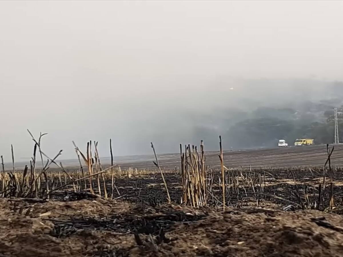 18,3 millones de euros cuesta la campaña contra incendios en Guadalajara