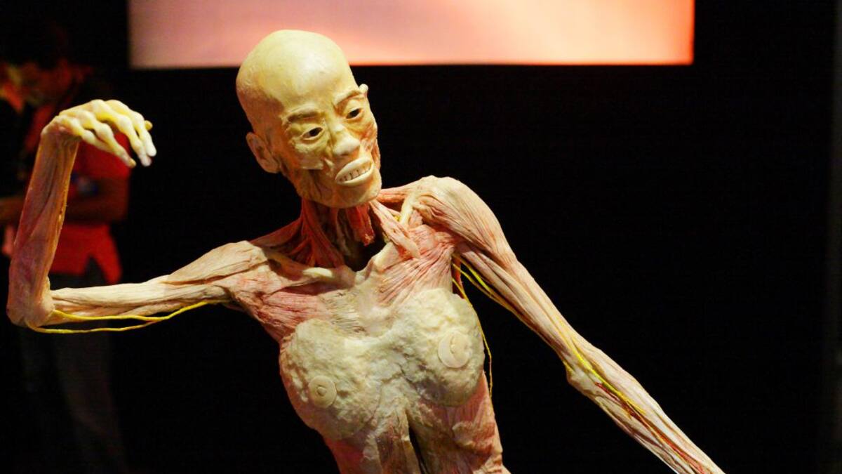 La polèmica 'Human Bodies' es queda a Barcelona