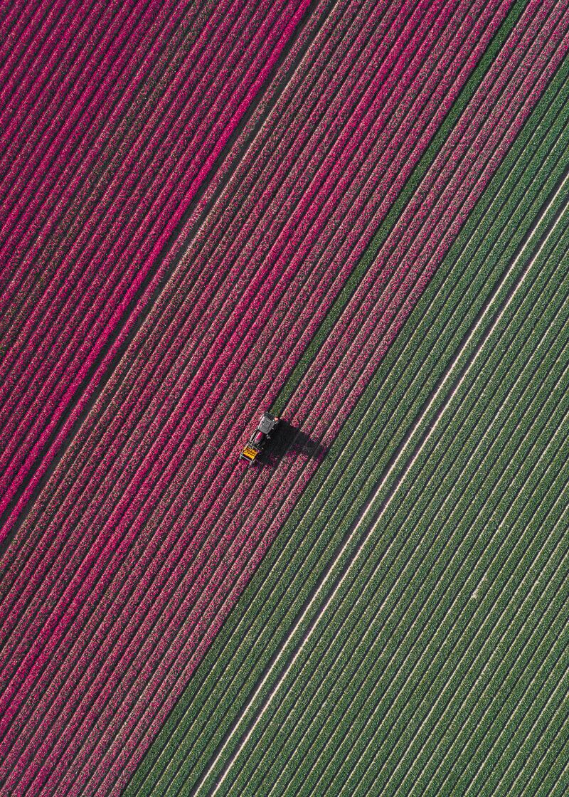 Fotografía de Tom Hegen