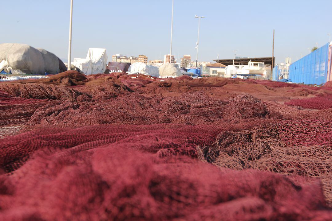 Los pescadores de cerco de la provincia vuelven a faenar después de un mes de parada biológica