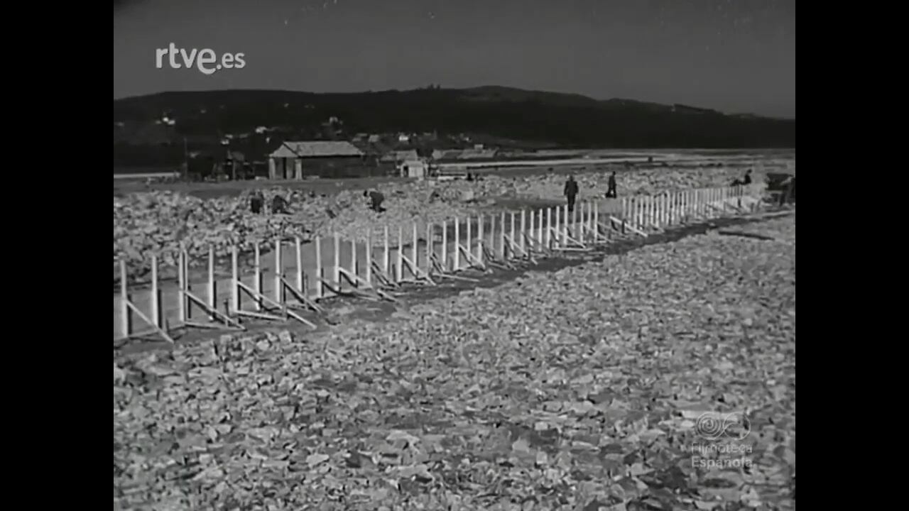 Trabajo forzado durante la construcción del Aeropuerto de Peinador en Vigo