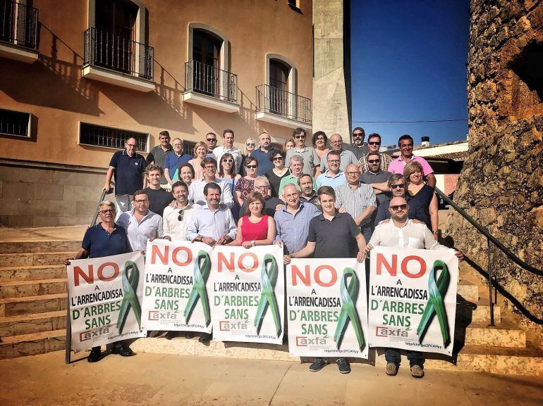 Los populares se reunen en Murla para tomar medidas frente a la Xylella. 