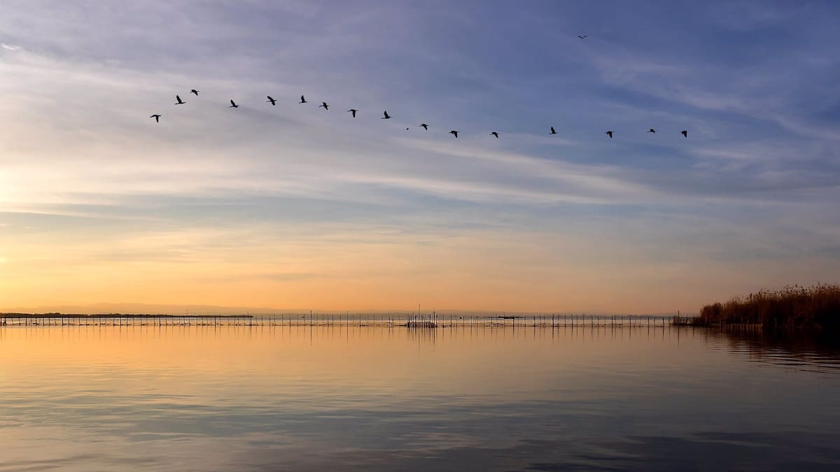 Entrevista La Ventana CV 02/02/2024
