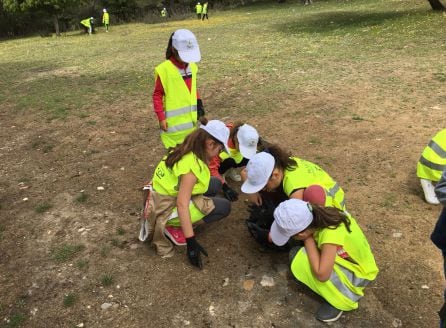 La limpieza del monte una árdua tarea