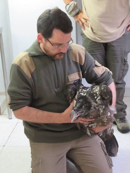 Pakillo Rodríguez con uno de los quebrantahuesos del centro de cría Guadalentín