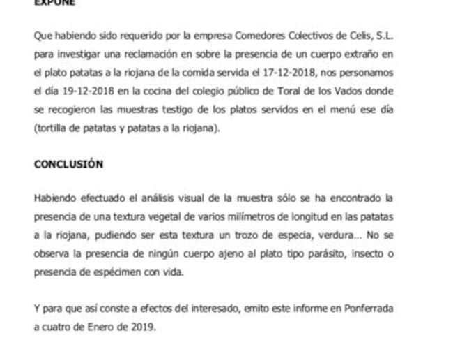 El informe remitido al colegio