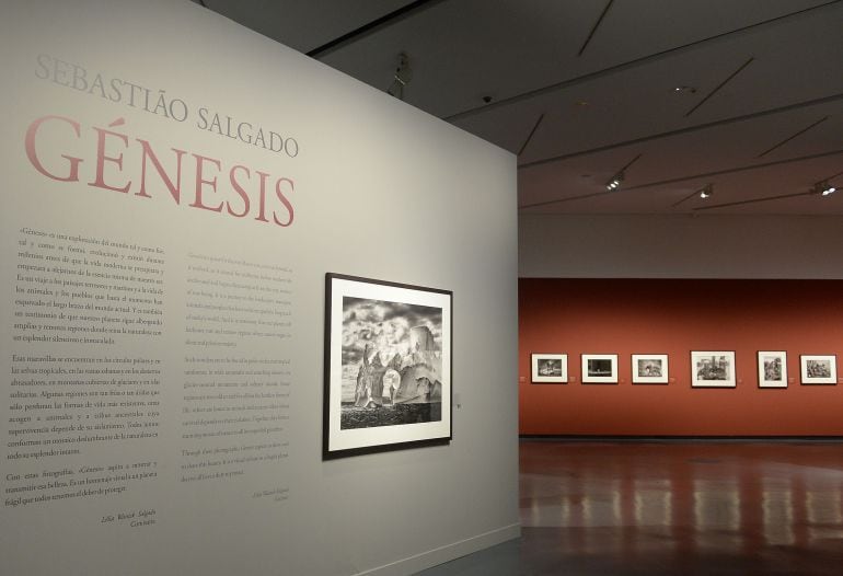 Vista de la exposición en Caixaforum.