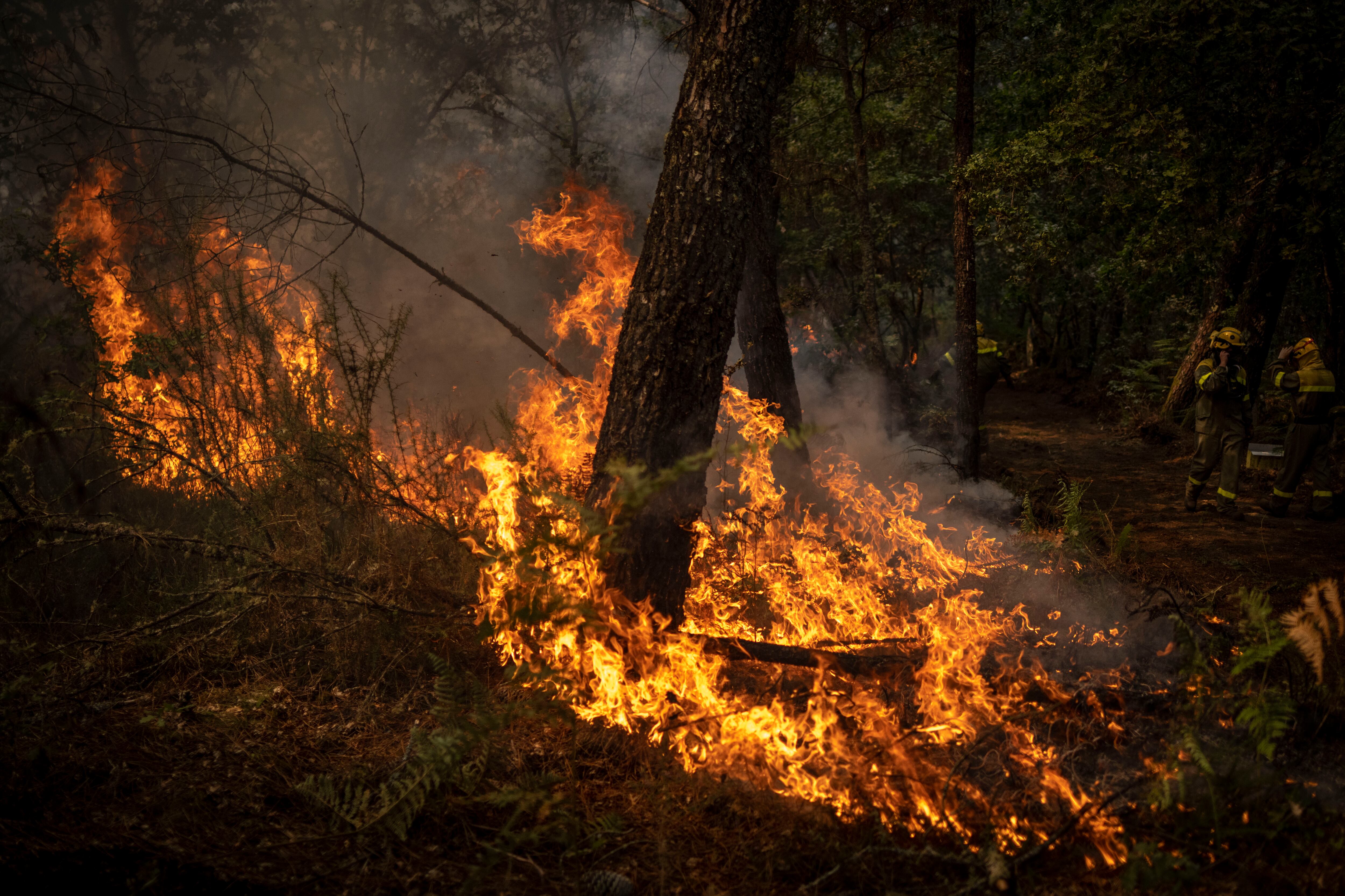 Incendio que permanece activo en O Irixo (Ourense), este jueves. Las llamas siguen abrasando bosques de Galicia, Extremadura y las dos Castillas. EFE/Brais Lorenzo