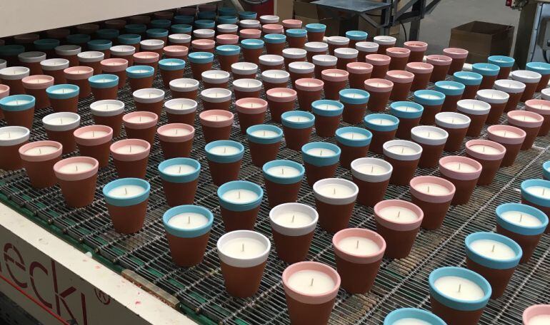 Les noves espelmes anti Zika.