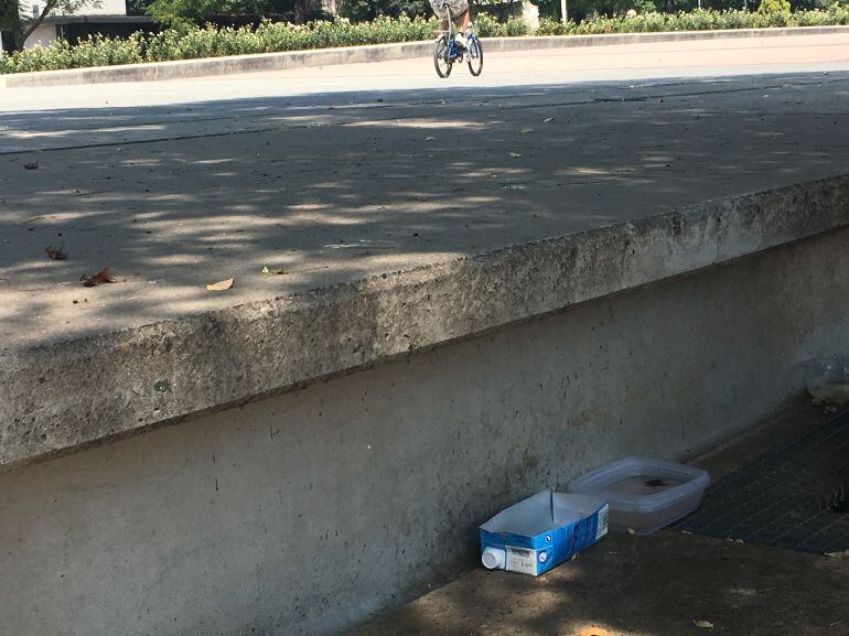 Cucarachas muertas junto a la comida y en el agua que beben los gatos del Vial