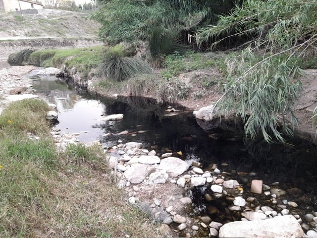 Aspecto del Serpis a su paso por Alcoy este miércoles 11 de septiembre