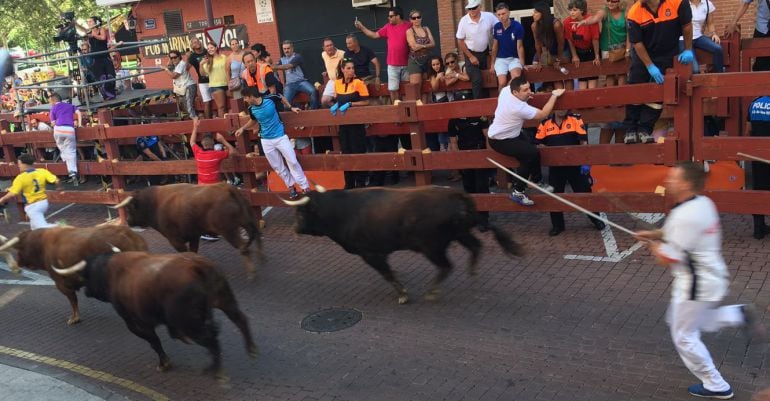 Encierro de Sanse del 26 de agosto de 2016