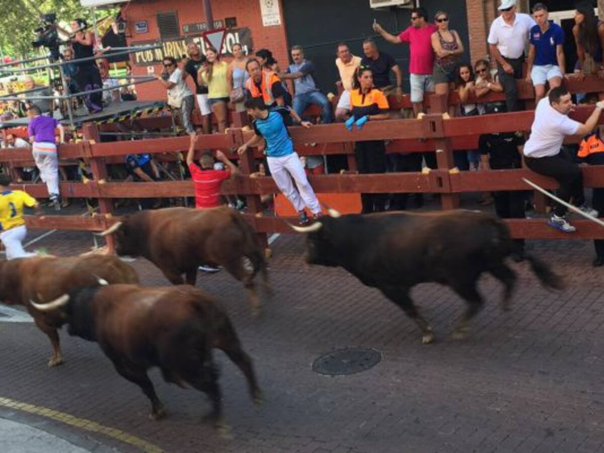 Un traumatismo craneoencefálico en el primer encierro