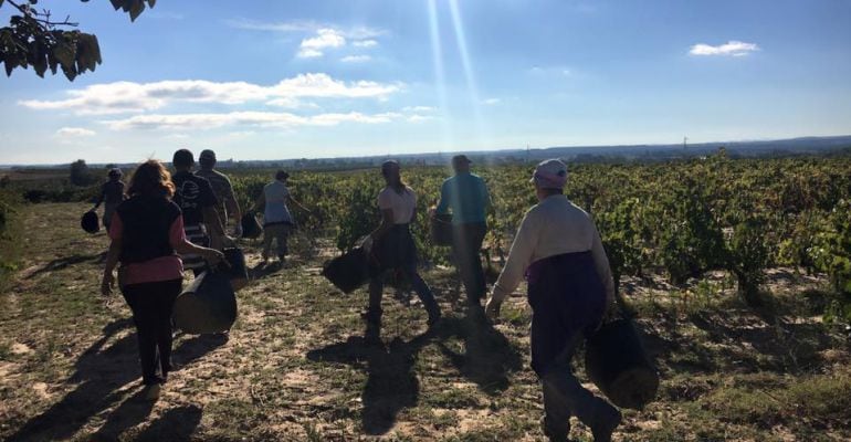 Trabajadores de la vendimia.