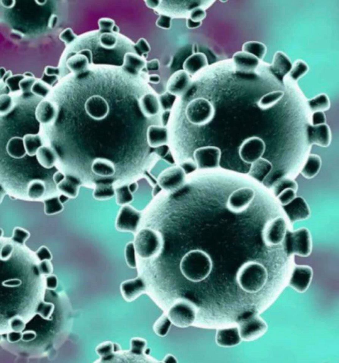 Novedades sobre la evolución de la pandemia del coronavirus en Palencia