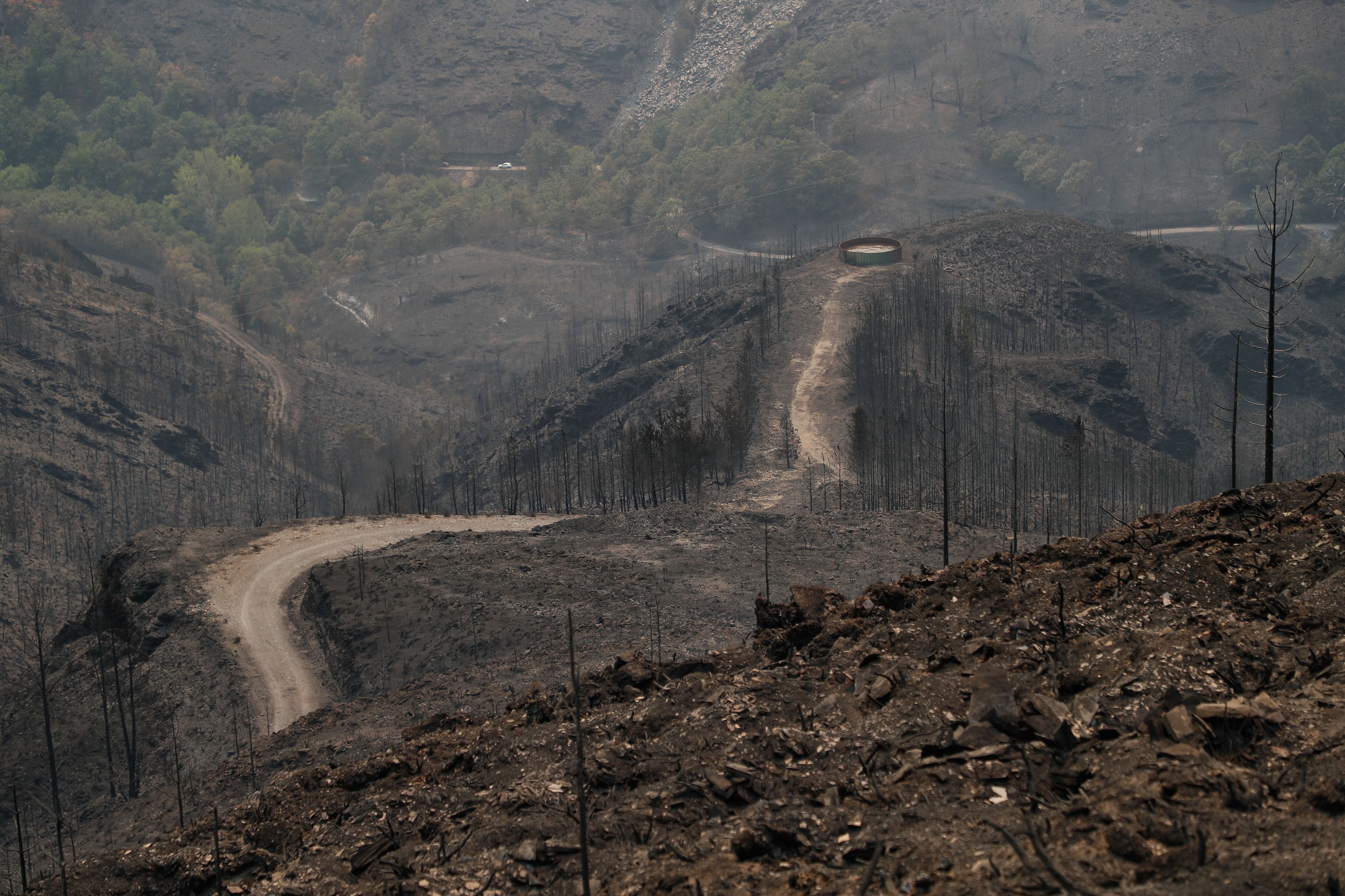 LUGO, 18/08/2025.- Incendio forestal en la Reserva Natural Courel-Ancares,en los montes entre León y Galicia, este lunes. La organización ecologista SEO Birdlife alerta de que la oleada de incendios que afecta a Galicia, junto con otras autonomías como Asturias y Castilla y León, amenaza a áreas protegidas y especies emblemáticas en la comunidad gallega. EFE/ Eliseo Trigo
