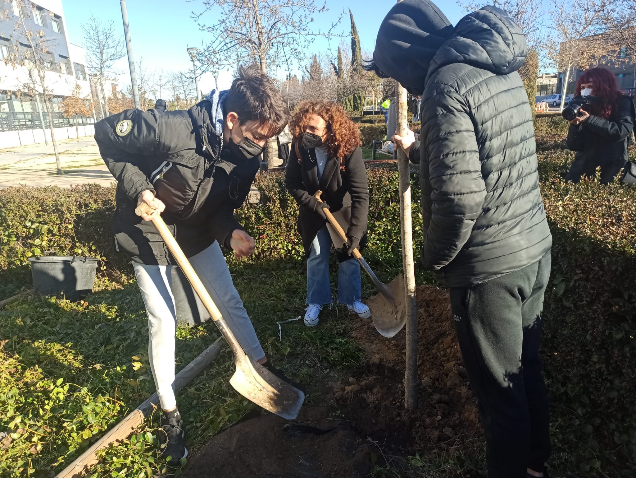 En breve, se realizará la plantación de la segunda fase del corredor verde junto a la A-1, lo que añadirá casi 1.900 árboles más