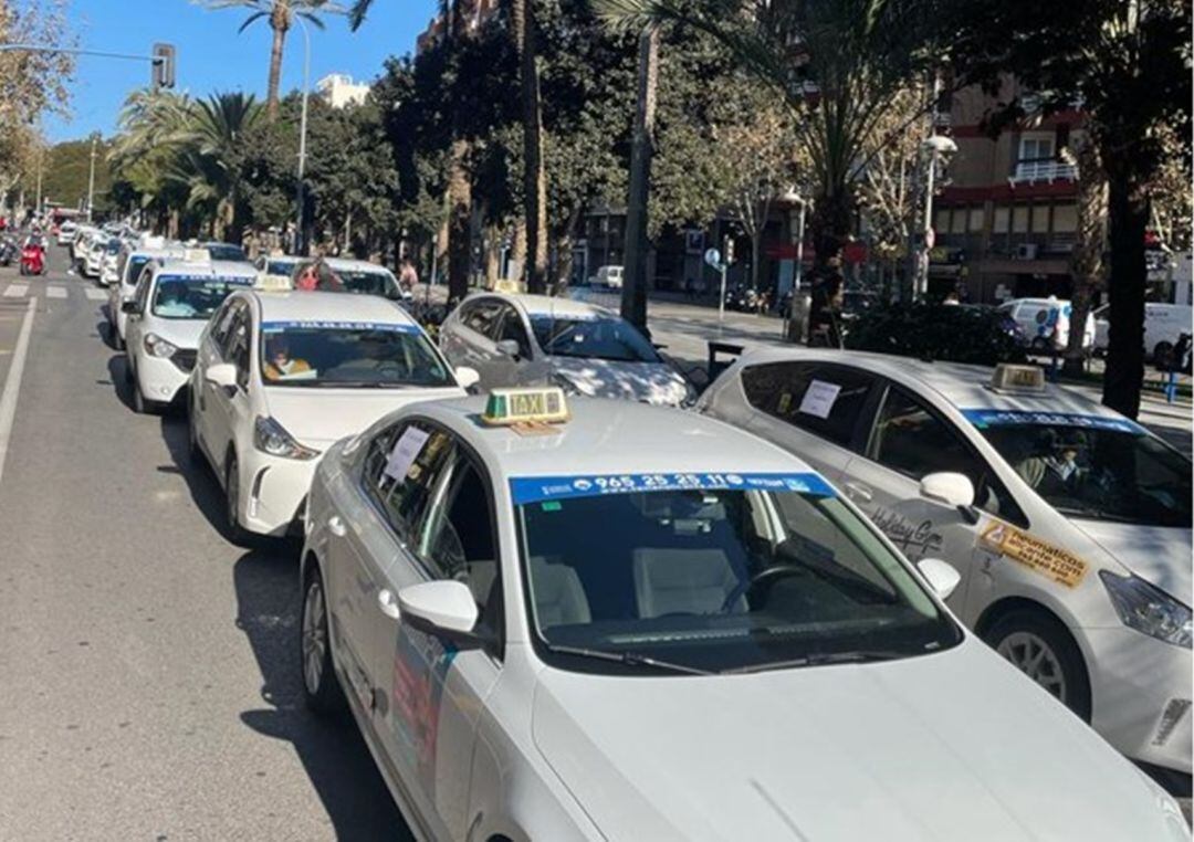 Los taxistas durante la protesta en la Avenida Óscar Esplá de Alicante