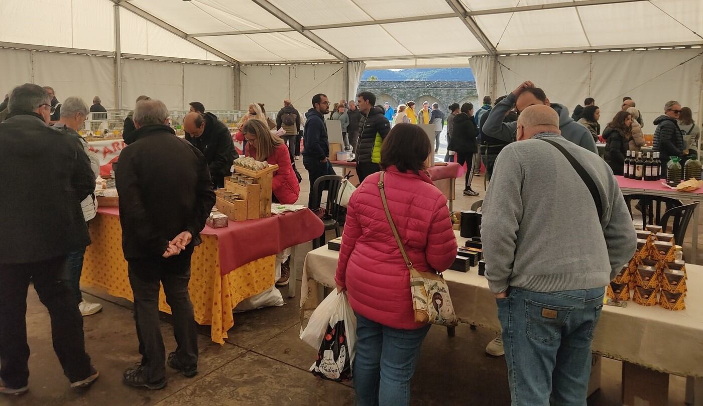 Ambiente en la carpa del castillo en la edición del año pasado. Foto: Ayuntamiento de Aínsa