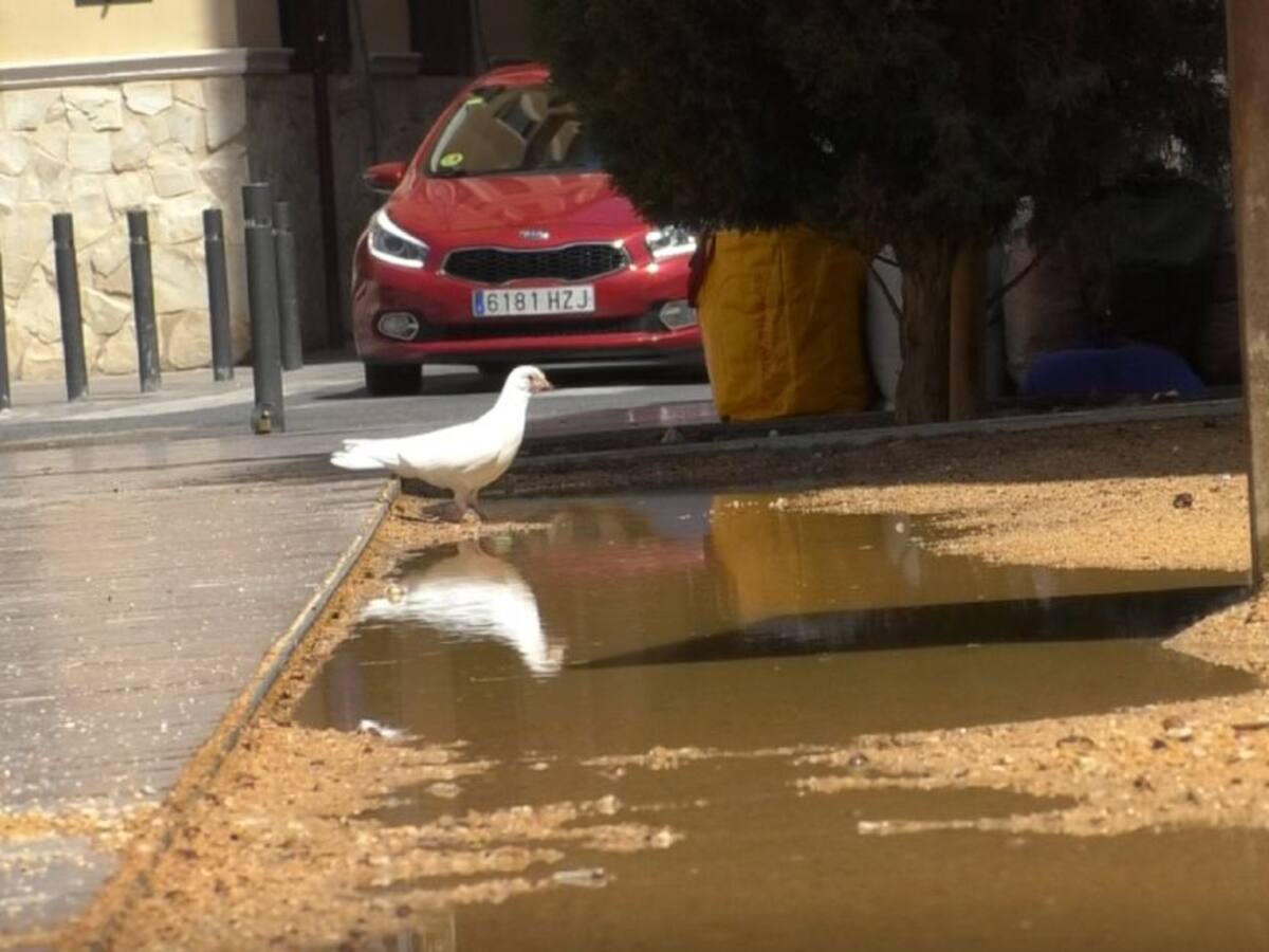 LLuvias torrenciales
