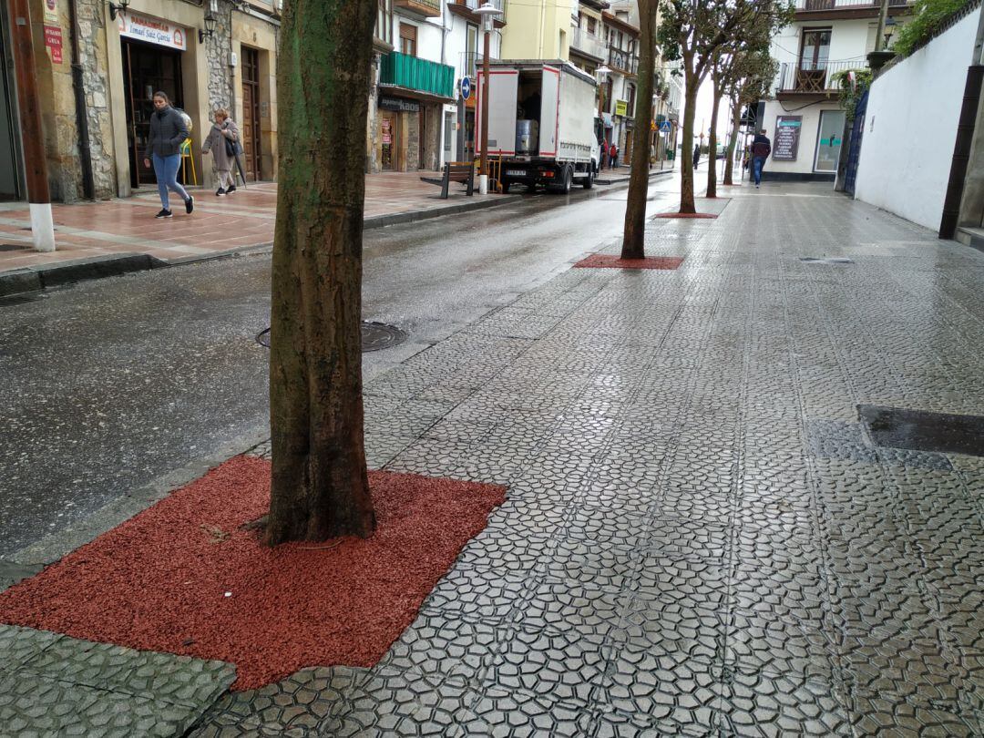 Alcorques de la calle Santander.