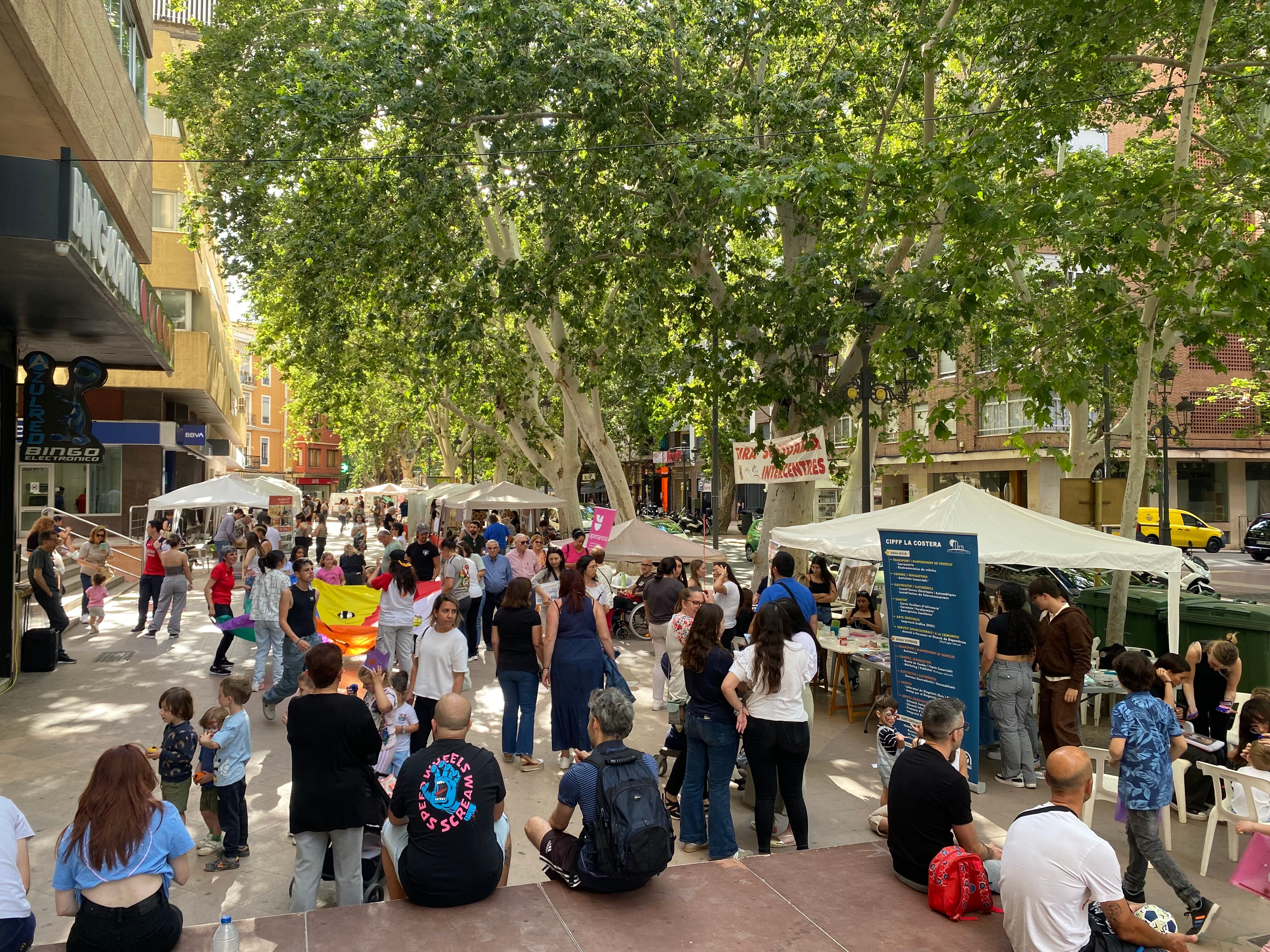 Plataneros de la Alameda de Xàtiva. Fuente: Ajuntament de Xàtiva