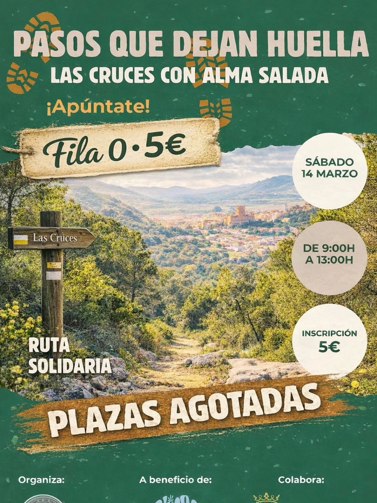 Cartel de la actividad