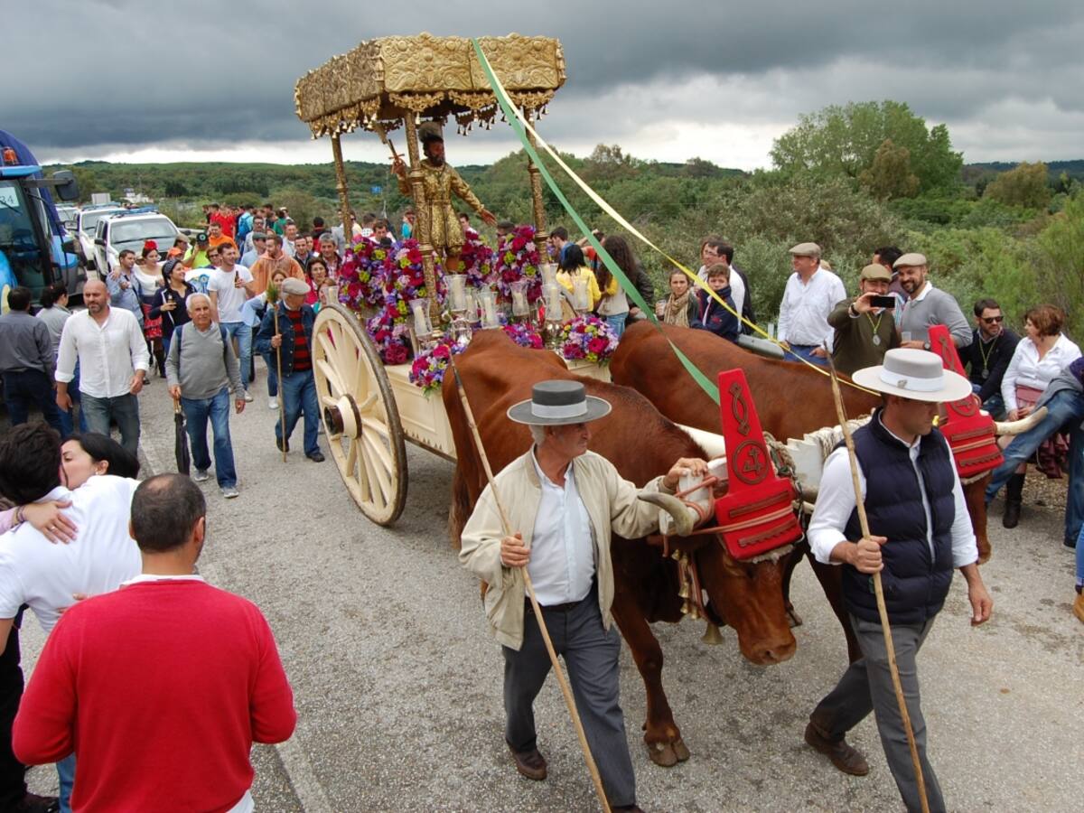 Todo preparado para el arranque de la Romería de San Isidro Labrador en Los Barrios