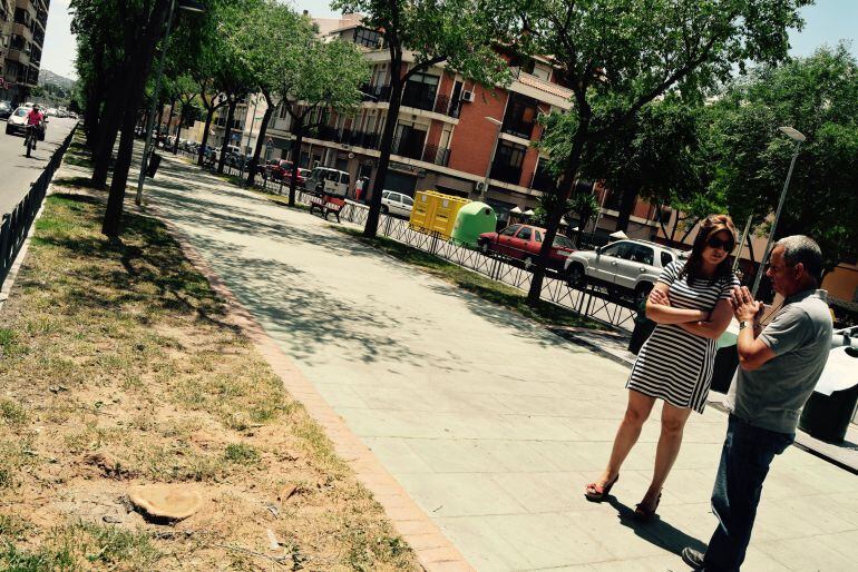 Estudio árboles en Petrer