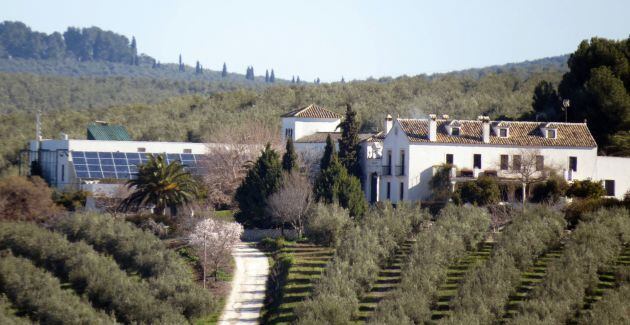 Instalaciones de la almazara bioclimática del Cortijo de Suerte Alta en Baena, Córdoba