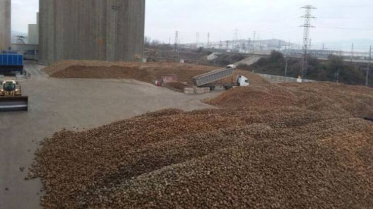 Entrevista a Salomé Santos, directora de Área Agraria de Azucarera