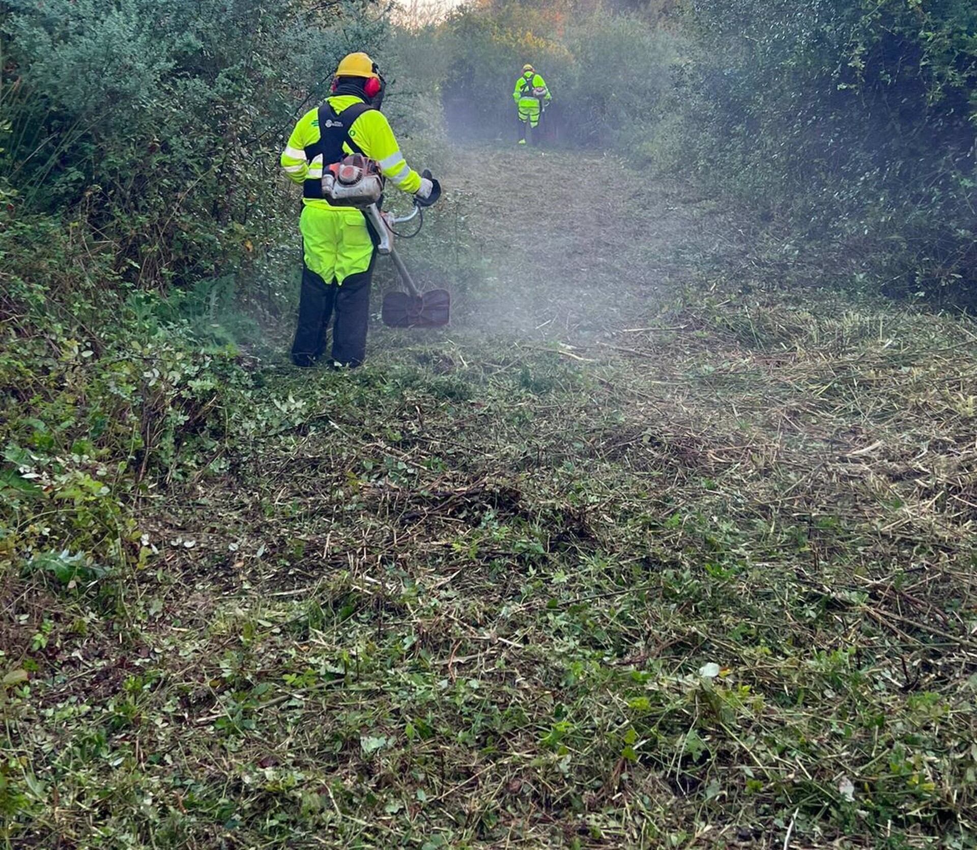 Una de las actuaciones que están llevando a cabo operarios de Endesa