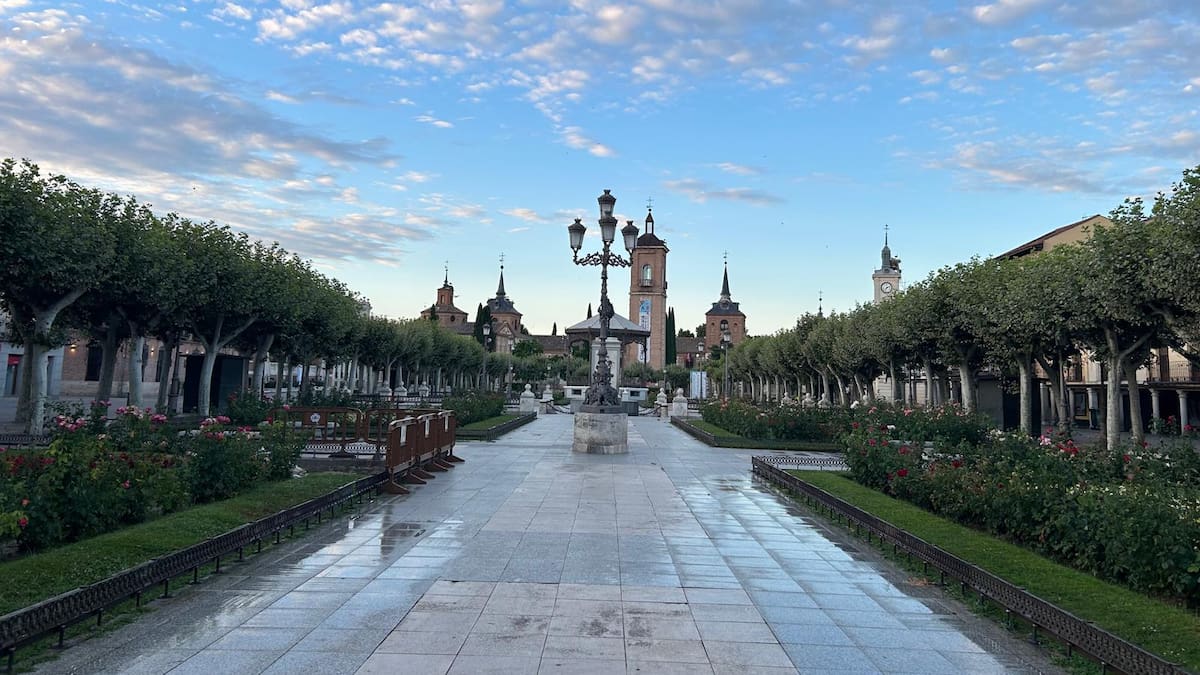 Vicente Pérez Palomar/reforma Plaza de Cervantes