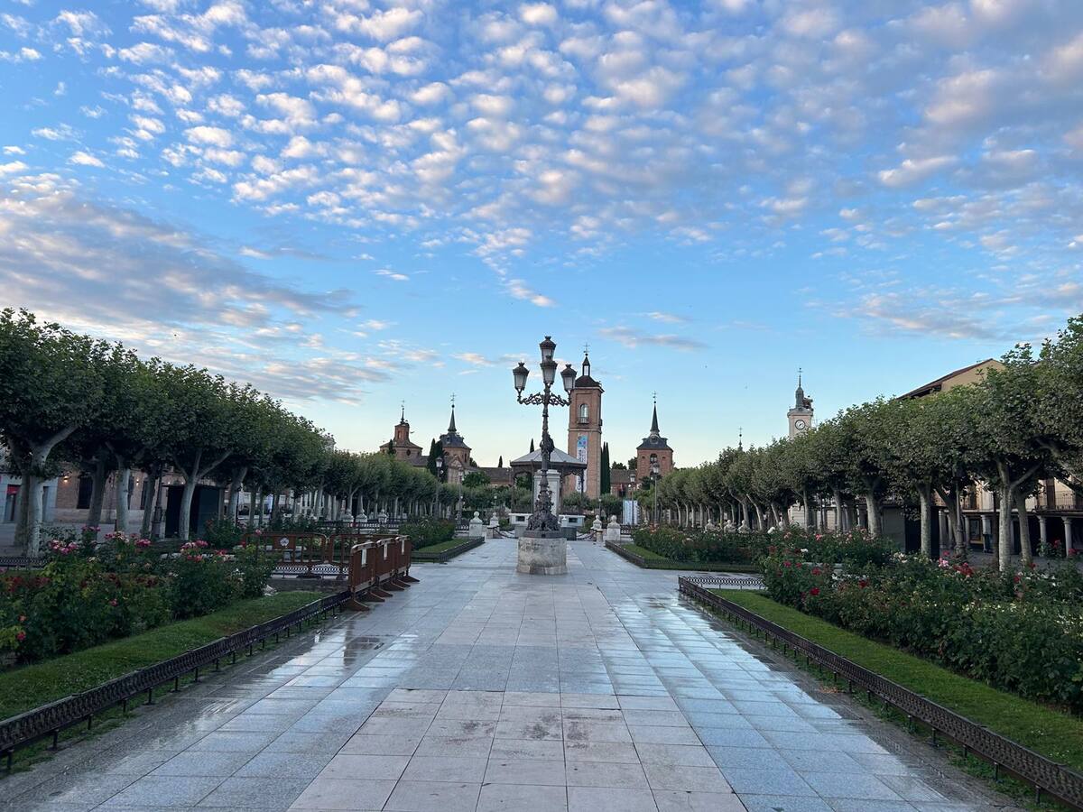 Así será la reforma de la Plaza de Cervantes: más parterres, más fuentes y un gran letrero de Alcalá de Henares