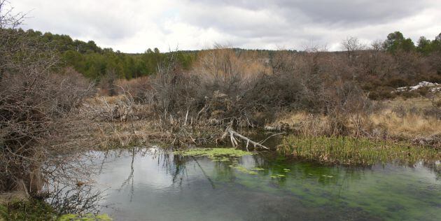 El río forma pozas de agua.