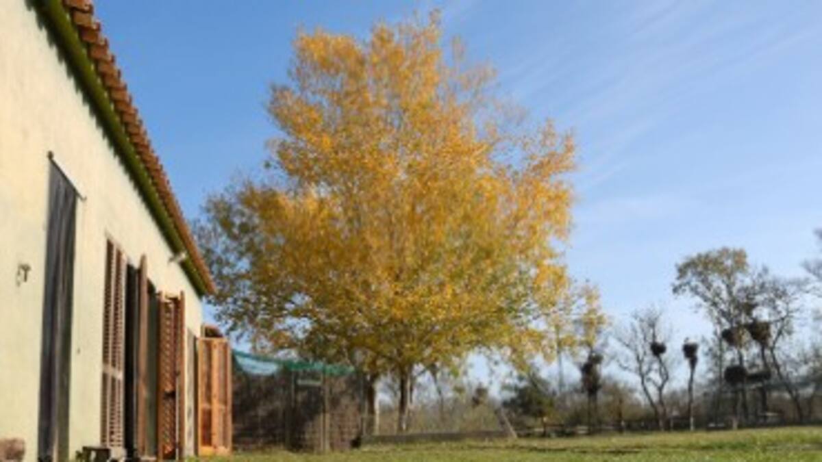 La Generalitat tanca per sorpresa el Centre de Recuperació de Fauna dels Aiguamolls de l'Empordà