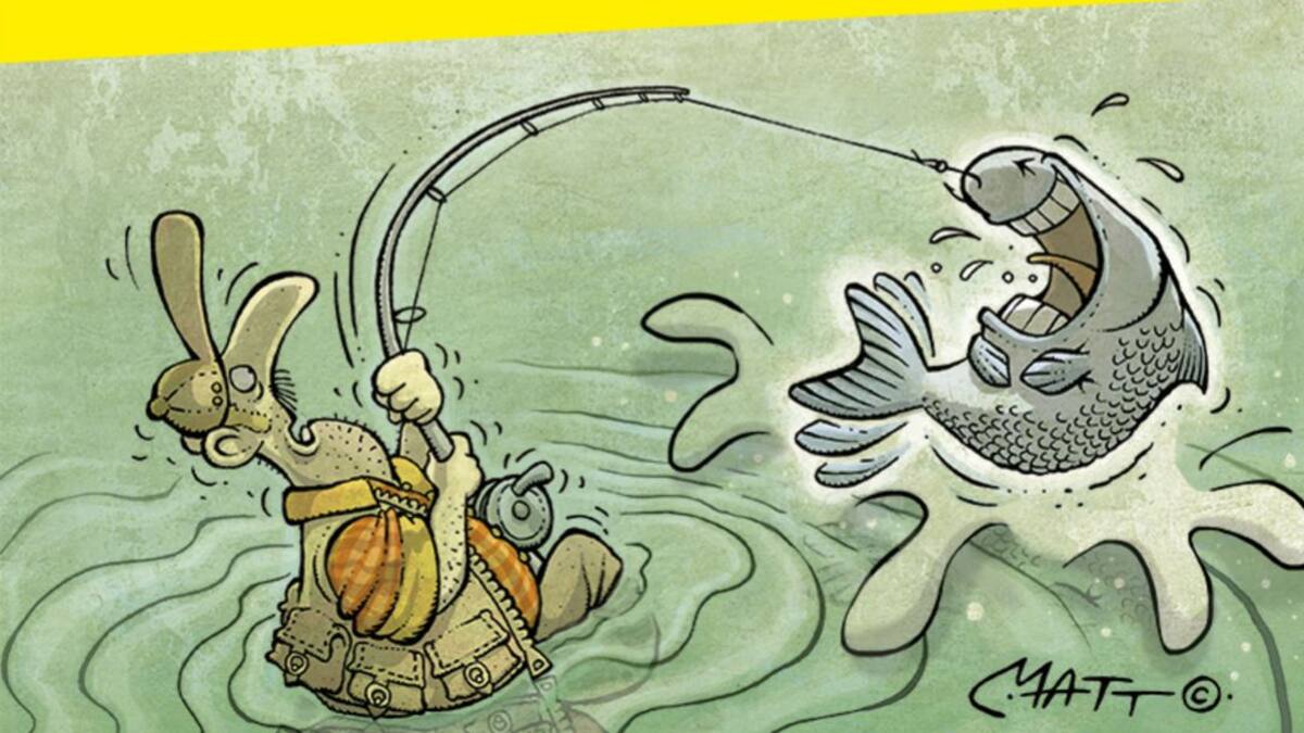 Los salmones se deshuevan antes de morir