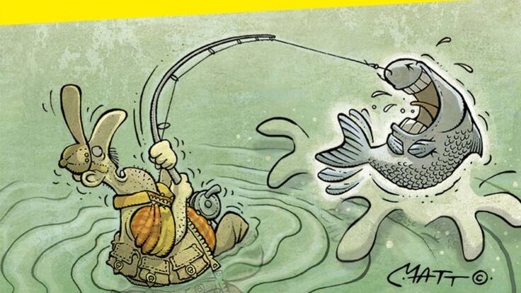 Los salmones se deshuevan antes de morir