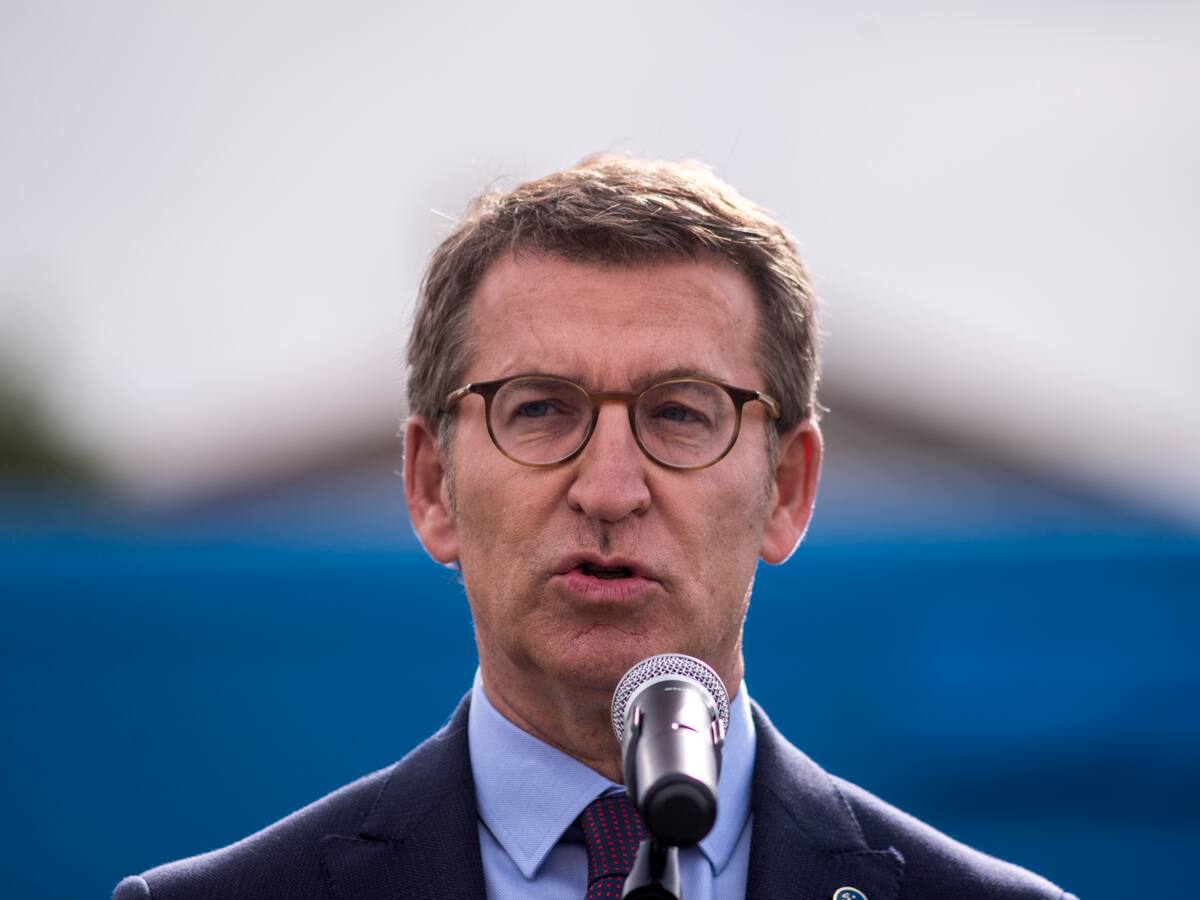 Feijóo, un camaleón en Madrid