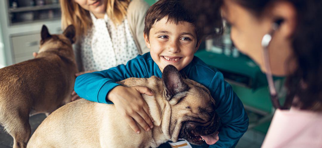 Tener perro nos puede predisponer a tener menos alergias e infecciones a lo largo de nuestra vida