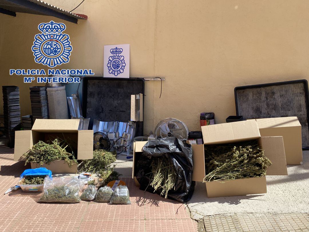 La Policía Nacional desmantela una plantación &quot;indoor&quot; de marihuana en Alcázar de San Juan