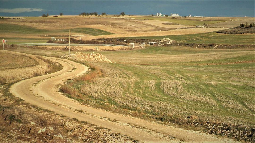 Camino rural de Palencia