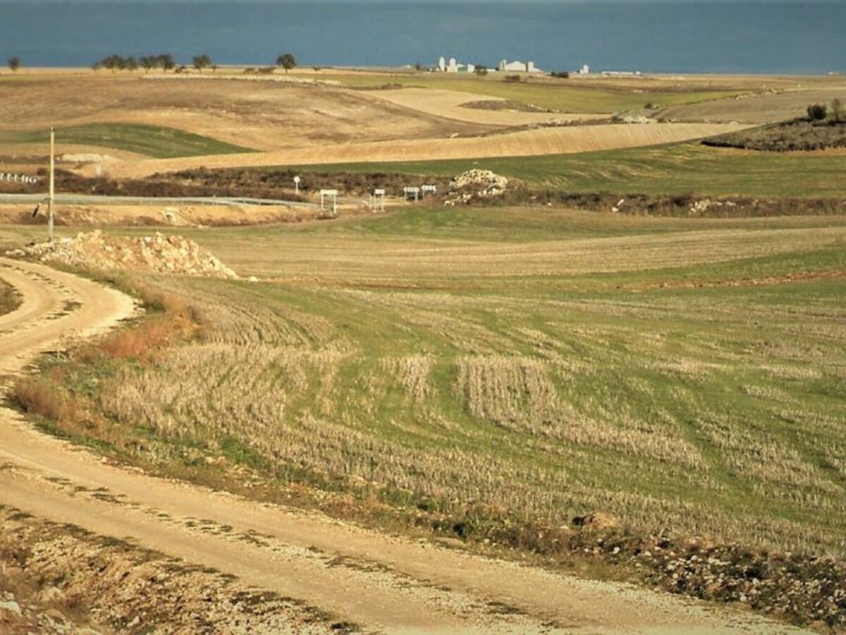 36 ayuntamientos mejorarán sus caminos rurales con la ayuda de la Diputación de Palencia