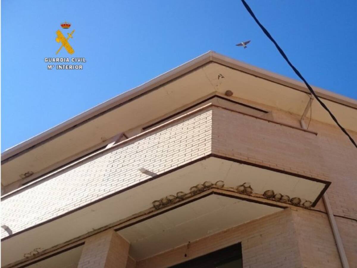 El Seprona investiga a dos personas por destruir cerca de un centenar de nidos en Cantimpalos